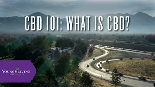 CBD 101: What is CBD? | Young Living Essential Oils