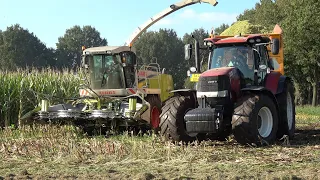 Mais hakselen door loonbedrijf Lamberink met Claas Jaguar 870 en 2 Case IH Puma 200 CVX (2021)