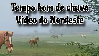 continua chovendo bem em parte do Nordeste! assista onde choveu. #nordeste #sertão #chuva