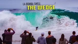 The Wedge (Biggest Swell 2021- MASSIVE)