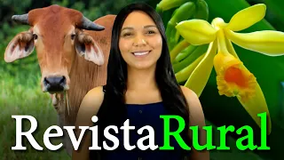 PROGRAMA REVISTA RURAL - 12/02/2023