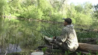 РЫБАЛКА НА ПОПЛАВОК НА УТРЕННЕЙ ЗОРКЕ в мае на реке. Рыбалка весной.