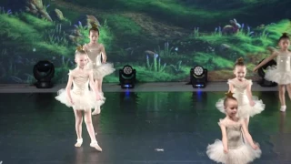 Stelline   asd arte e danza Coccaglio   Danza Classica   saggio 2017