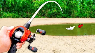 Fishing a Small Pond for MONSTER Fish!