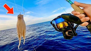 Fishing with SQUID! in 100' DEEP for my DINNER [Catch,Clean,Cook]