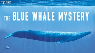 5 Most Mysterious & Unexplained Oceanic Mysteries