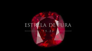 The Journey of Estrela de Fura-Part 1