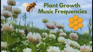 Plant Growth Music Frequencies: Music for Plants to Grow Happy & Healthy