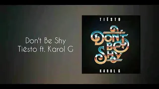 Don't Be Shy - Tiësto & Karol G (INSTRUMENTAL)