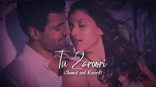 Tu Zaroori - Zid (Slowed & Reverbed | Sunidhi Chauhan, Sharib Sabri | AC CREATIONSS