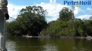 Amazonas Toni Zulauf's Videoblog Tag 3