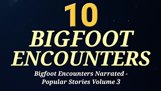 10 BIGFOOT ENCOUNTERS - Bigfoot Encounters Narrated: Popular Stories Volume 3