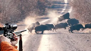 AĞIR ÇEKİM MÜKEMMEL YABAN DOMUZU VURUŞLARI - BEST SLOW MOTION WILD BOAR HUNTS  HOG HUNTS PIG HUNTING