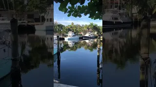 🛥️ North Fork New River | Marina | Boats | Fort Lauderdale, Florida