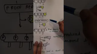 DNA Replication part-4, Why does DNA replication doesnot occur in 3'-5'direction?