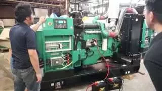 Cummins Generator Set 250kVA : Introduction & Testing (HD)