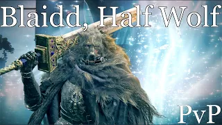 Elden Ring PVP As Blaidd The Half-Wolf