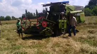 Claas Cosmos жнива 2014