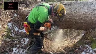 Kleine Maschinen aber große Helfer 》 Pfanzelt Felix 》 Moritz 》 Peppo 》 Harry 》 Stihl 500i