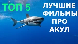 ТОП 5 САМЫЕ ЛУЧШИЕ ФИЛЬМЫ ПРО АКУЛ