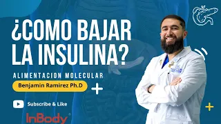 ¿Por qué tengo la insulina alta?: Claves para Prevenir la Resistencia a la Insulina