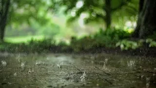 DOUCE PLUIE APAISANTE pour Faire le Vide dans son Esprit et Dormir Profondément ⏩ Calme le Stress