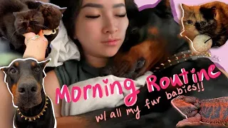 MORNING ROUTINE WITH MY DOBERMANS (AND MY 15+ PETS)