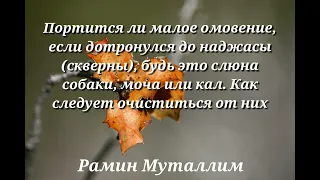 Портится ли малое омовение, если дотронуться до наджасы (скверны), слюна собаки, моча или кал. Рамин