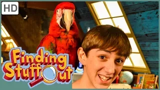 Finding Stuff Out- "Pets" Season 3, Episode 5 (FULL EPISODE)