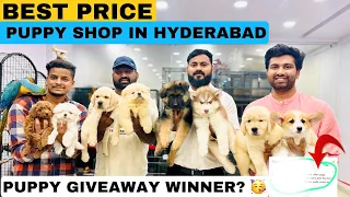 BEST PRICE DOG SHOP IN HYDERABAD | PUPPY GIVEAWAY WINNER ANNOUNCED 🐶🎉