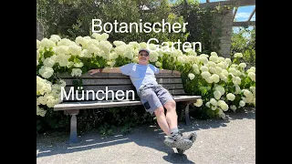 Botanischer Garten München Besuch Sommer 2022