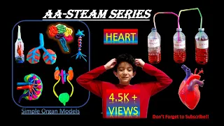 Pumping Heart Experiment | How to Make a Model Human Heart | How to Build a Model Heart | Heart Pump