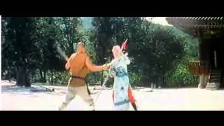 South shaolin vs North shaolin - Final fight