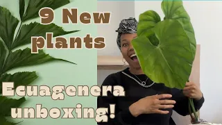 ECUAGENERA unboxing 2.0 | plant haul