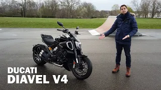 New DUCATI DIAVEL V4 - 168hp! For everyone ?