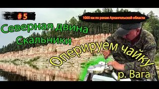 #5 Оперирую чайку | Северная Двина | Ветреный Пояс | 1000 км по рекам Архангельской области