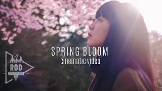 iPhone 12 Camera Cinematic 4K Video | Spring Bloom