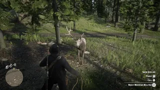 RDR2- General Arthur headbutted by Bull Elk, gets his revenge pelt