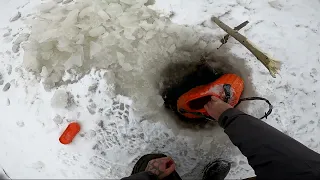 (3)Зимняя рыбалка в Сибири. Перемёт на Енисее. Улов налима на ельца.