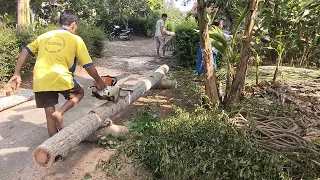 Tebang pohon kelapagrajih di jalan terganggu pengendara pada lewat di kaliwungu