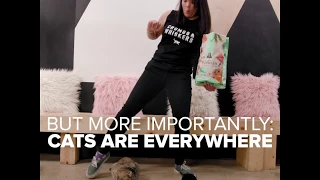 People Who Hate Cats Work In A Cat Cafe - Bring Me // Presented By BuzzFeed & Rachael Ray Nutrish