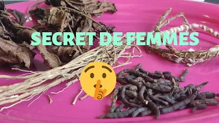 Secret de femmes | Feuilles de DJEKA, GONGOLI ET POIVRE LONG AFRICAIN