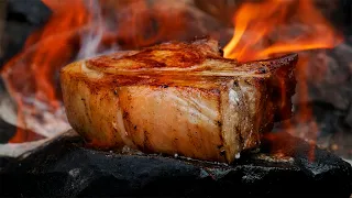 Roasted MEAT ON STONE With cherry sauce | ASMR COOKING | BUSHCRAFT | AlligatorKitchen