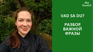 Шведский язык: Разбор Vad sa du? | MinSwedish