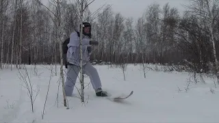 Невероятный случай на охоте. ОХОТА на ТЕТЕРЕВА на ЛУНКАХ.  A Winter Black Grouse Hunt