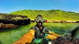 Snorkeling in Durban - South Africa