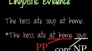 Human Language Sentences   Basic Parse Trees, X Bar Theory & Ambiguity    Linguistics 101