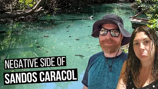 4 Negative Things About Our Week at SANDOS CARACOL Eco Resort