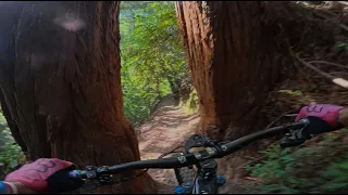 Finding flow in the Santa Cruz mountains on the WR trail #mtb #insta360