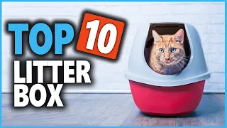 Best Litter Box 2024 | Which Is Best Litter Box For Cats & Kitty ?